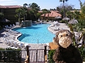 Cheeky-MCO_Resort (1)